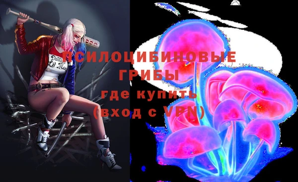 метадон Лабытнанги