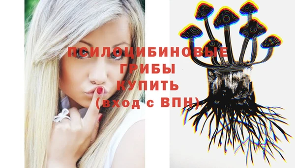 метадон Лабытнанги