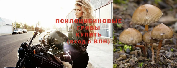 MDMA Premium VHQ Ладушкин