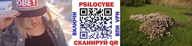 Купить закладки  Карачаевск  Псилоцибиновые грибы мухоморы 